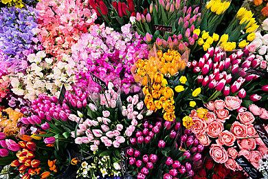 拳头透露《VALORANT》新特工“菲德” 4月25日正式公布