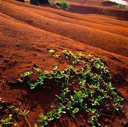 《祇：女神之道》全球解锁时间公布 Steam版19日中午解锁